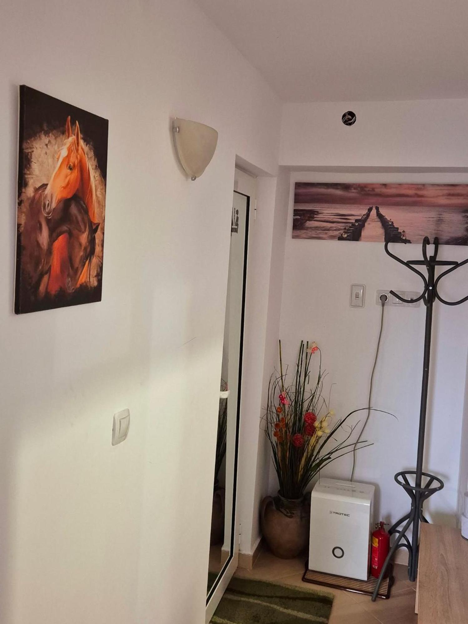 Apartment Shesti Uchastak Gabrovo Exterior foto
